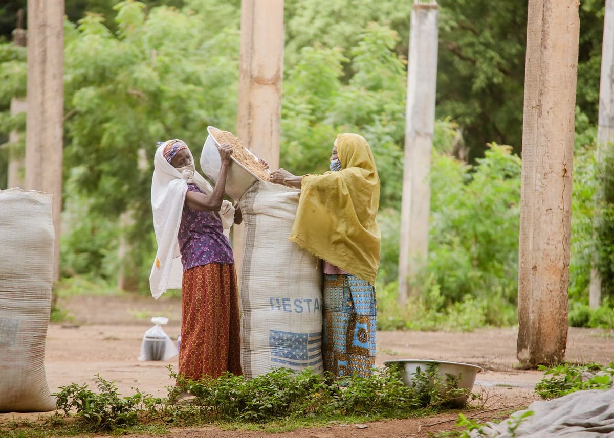 Two women in headscarves filling sacks with grain under trees in Ghana